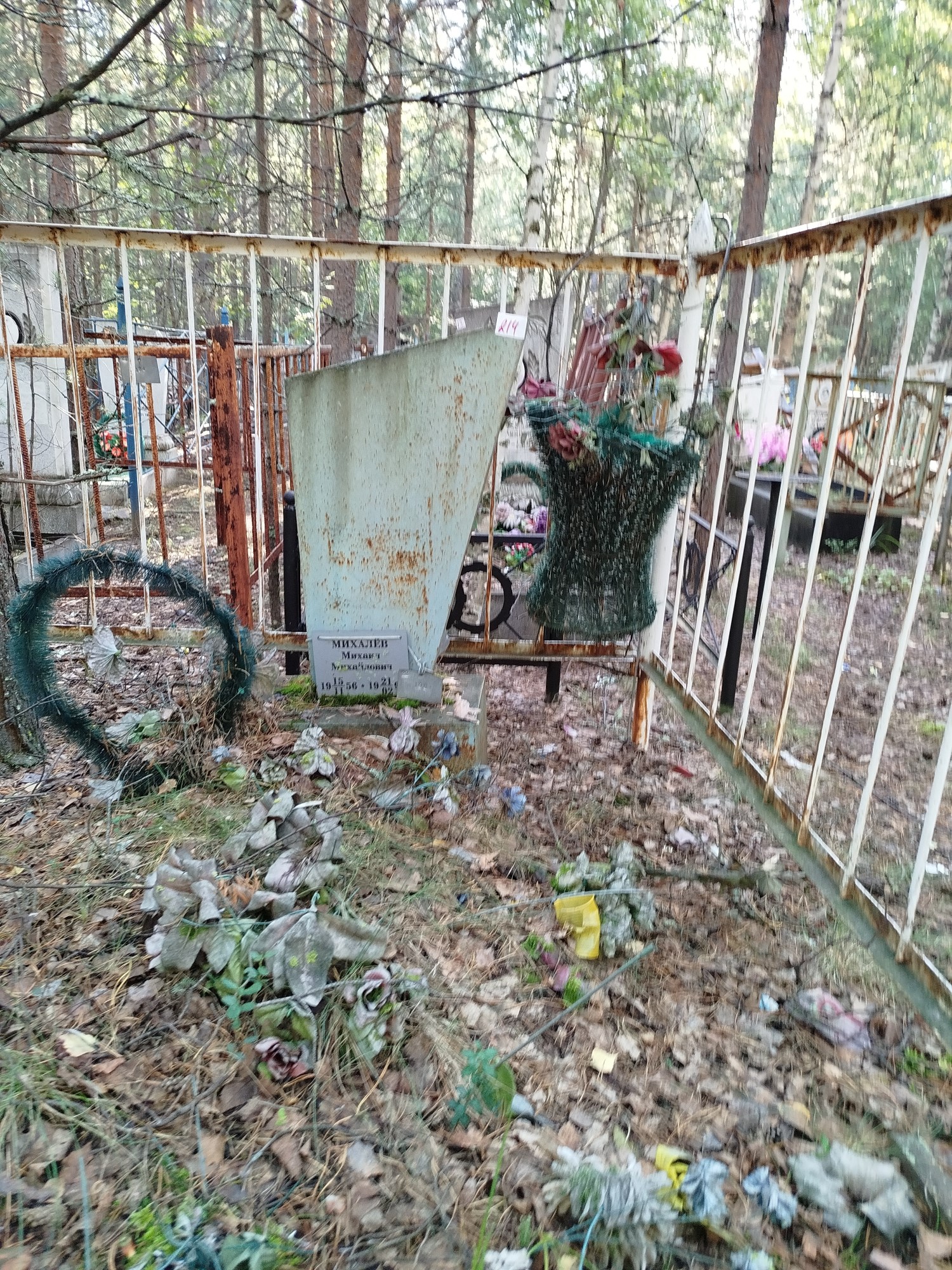 Михалёв Михаил Михайлович
