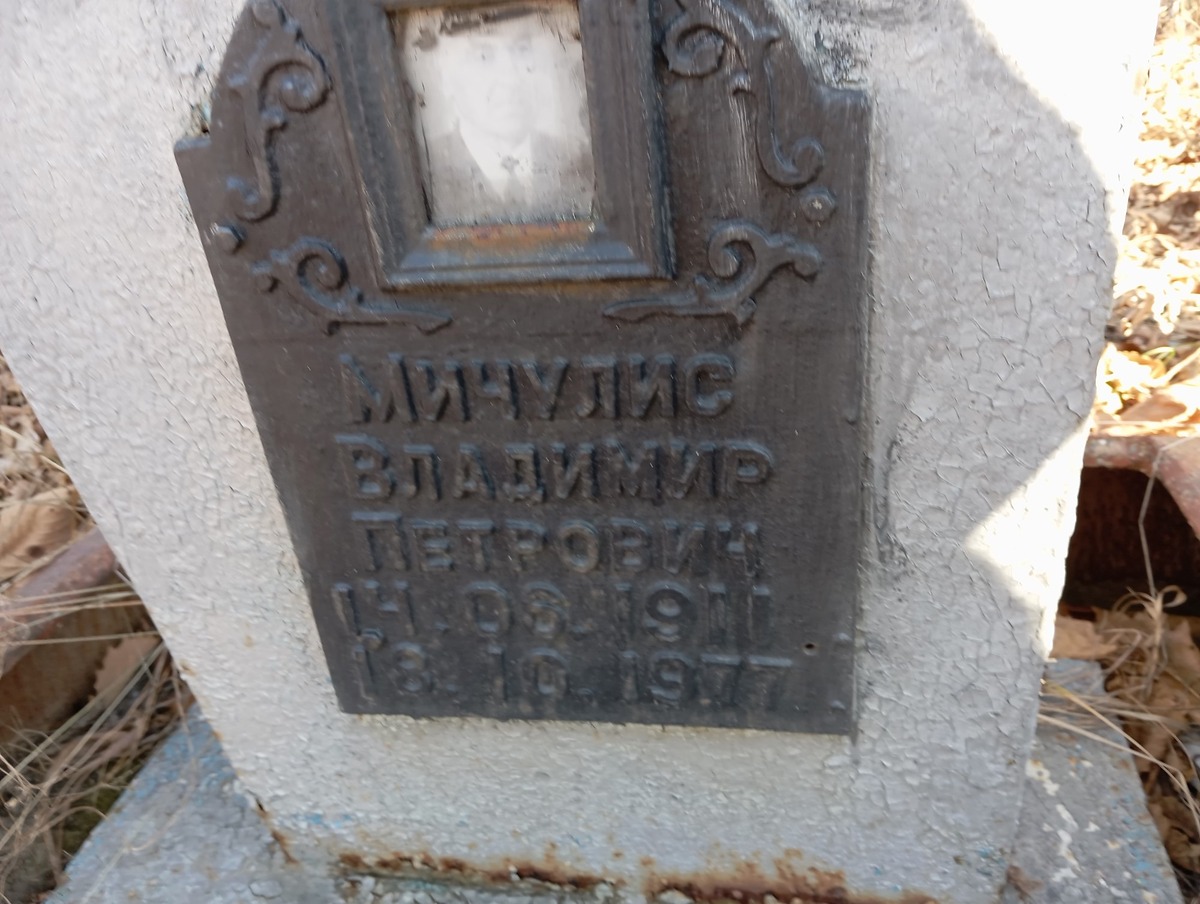 Мичулис Владимир Петрович