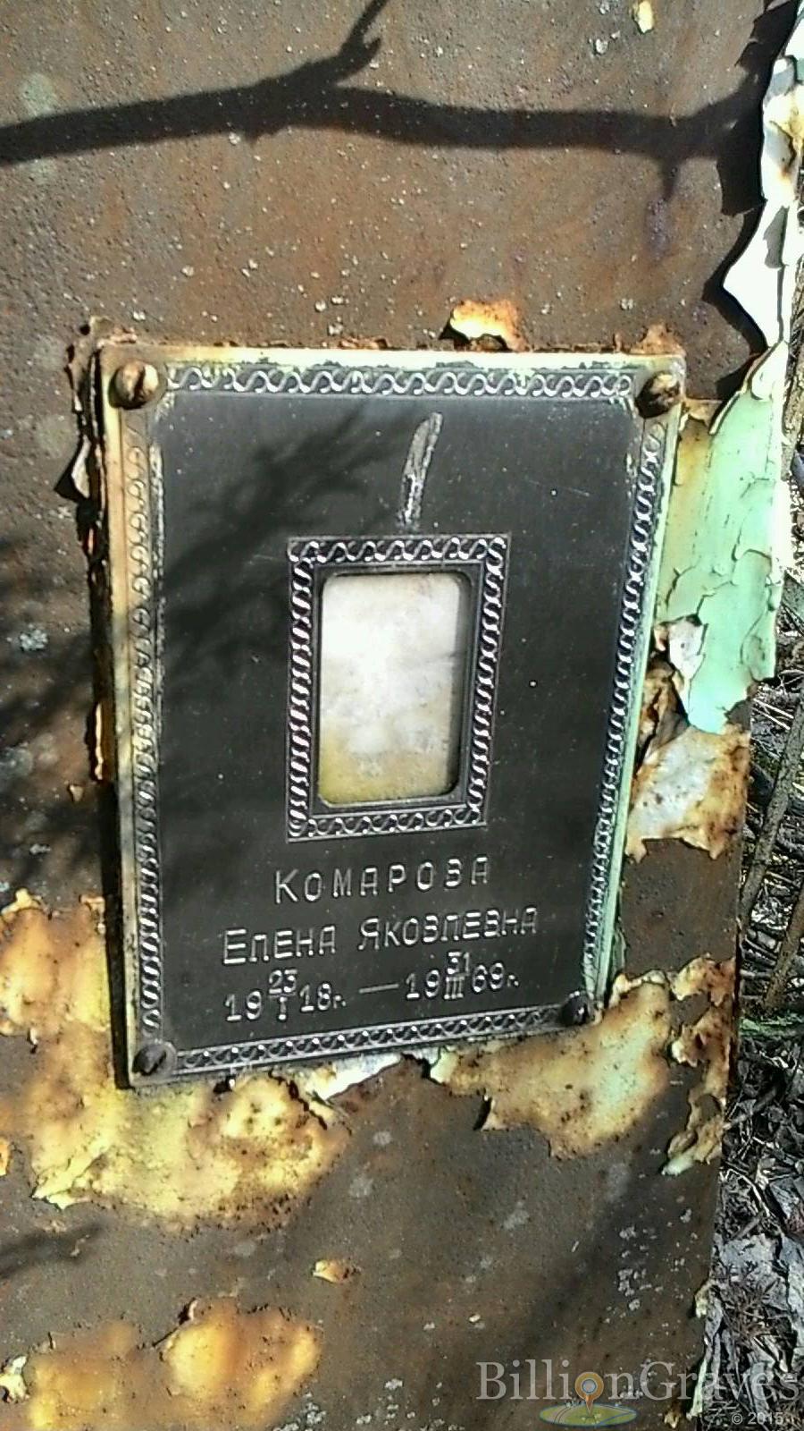 Комарова Елена Яковлевна