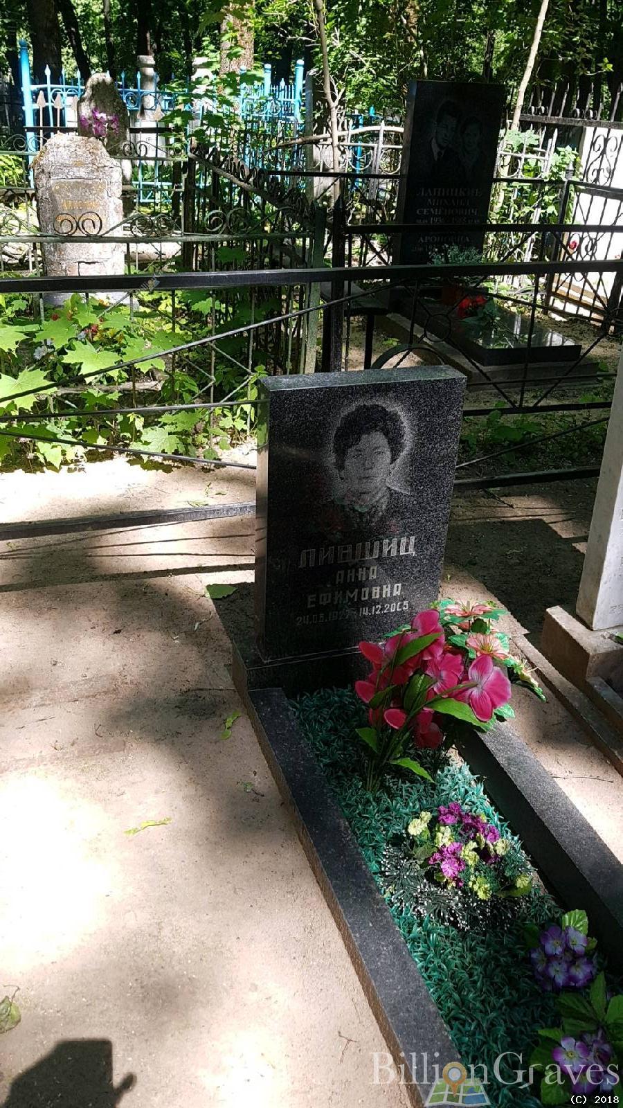 Лившиц Анна Ефимовна