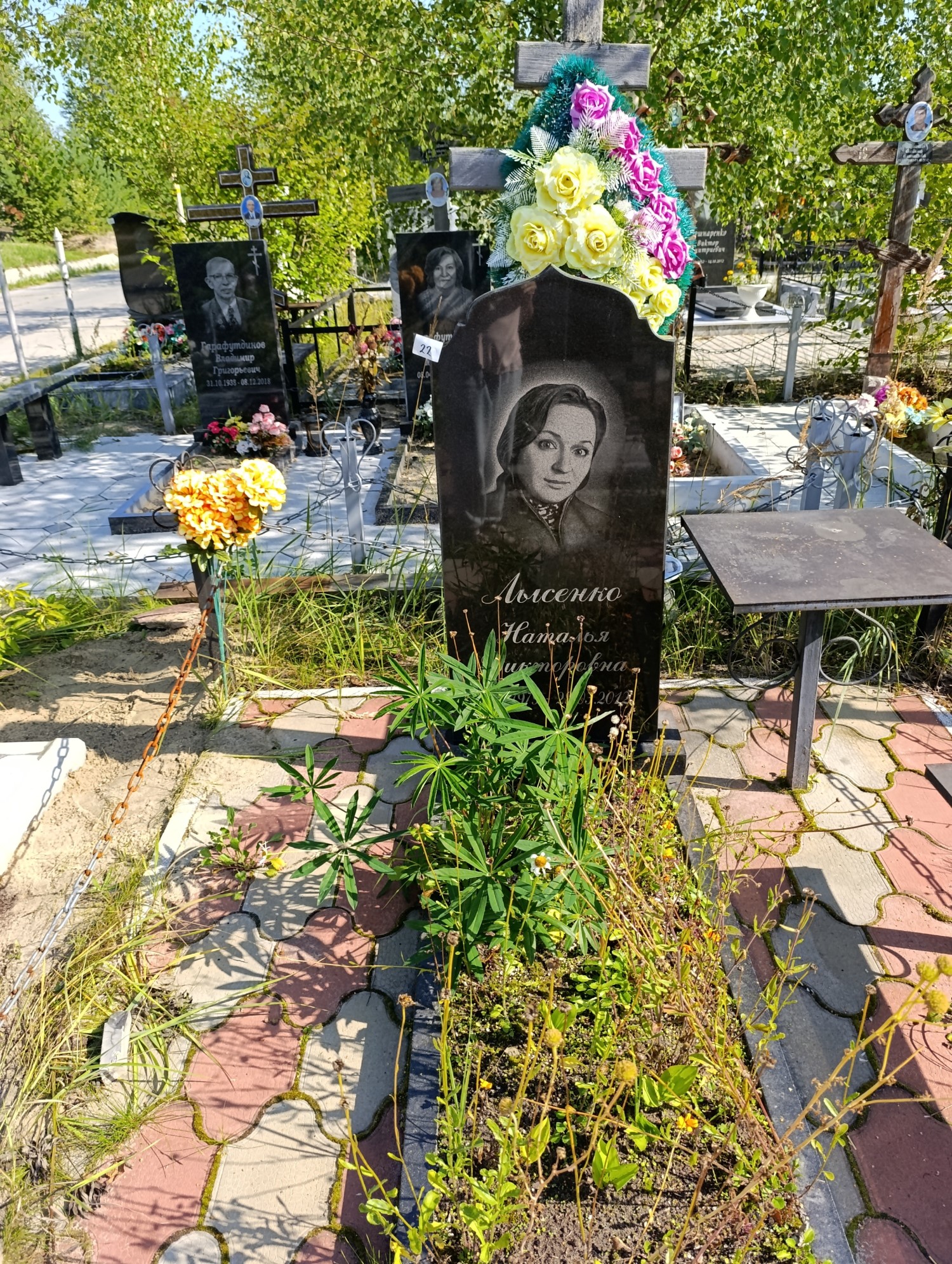 Лысенко Наталья Викторовна