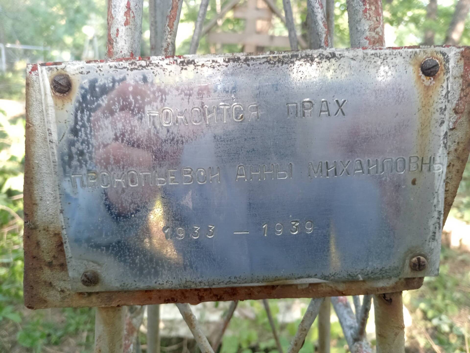 Прокопьева Анна Михайловна
