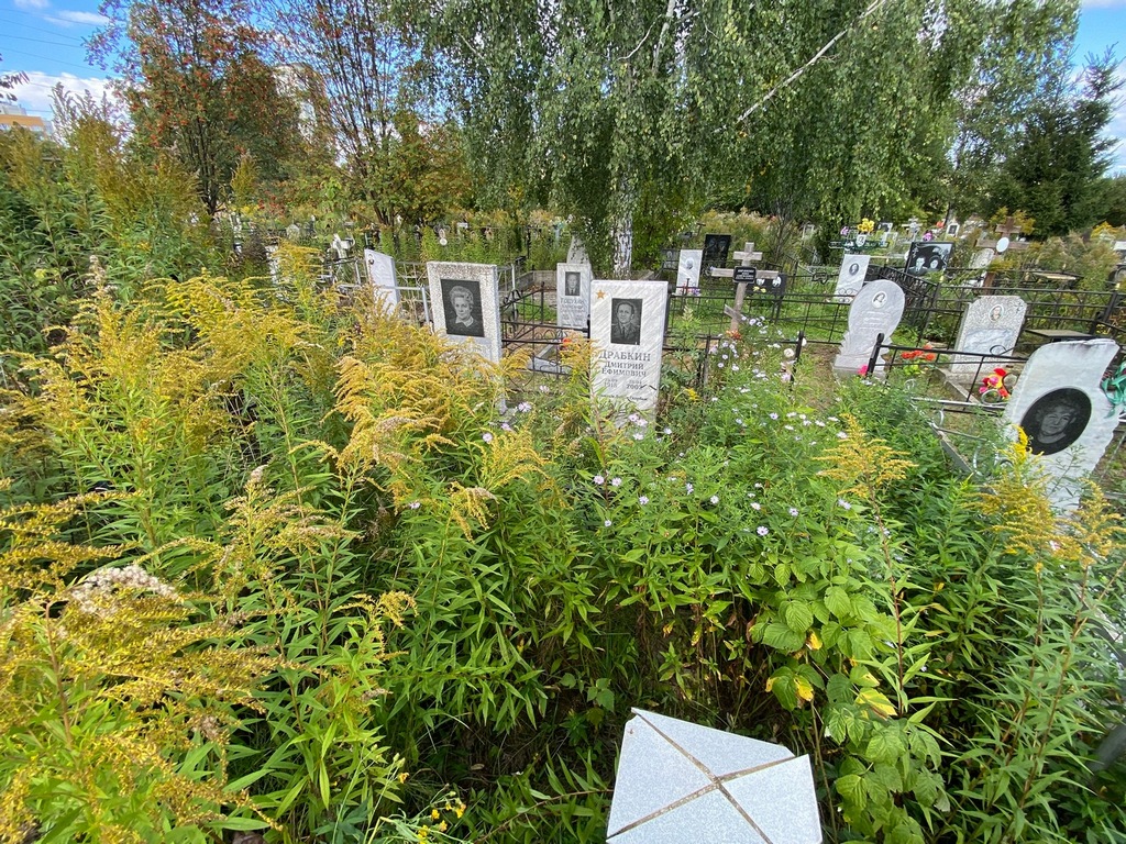 Драбкина Маргарита Андреевна