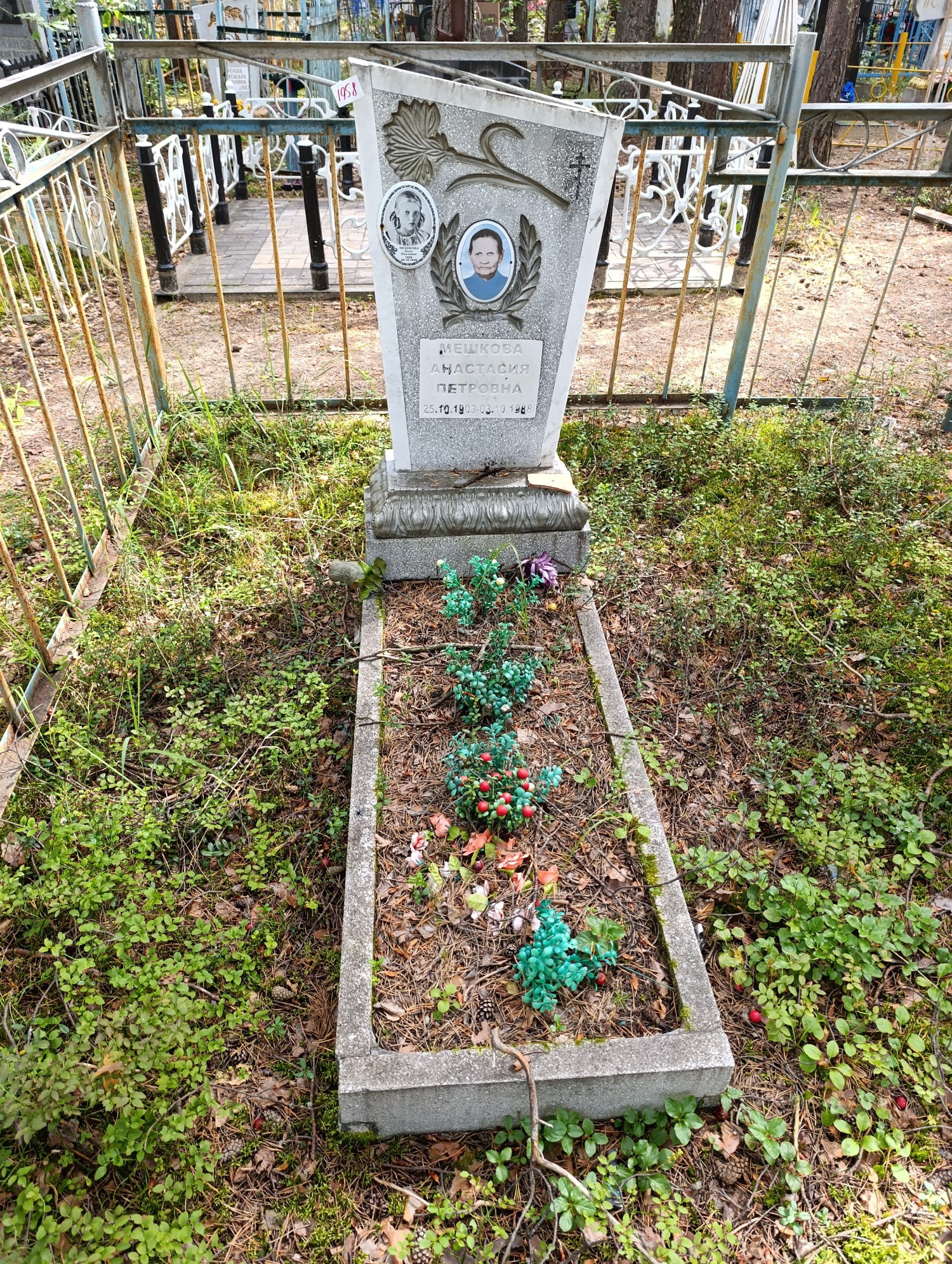 Мешкова Анастасия Петровна