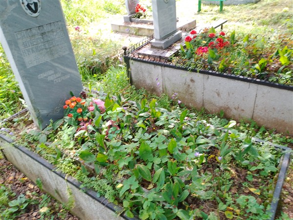 Самохвалова Александра Никифоровна