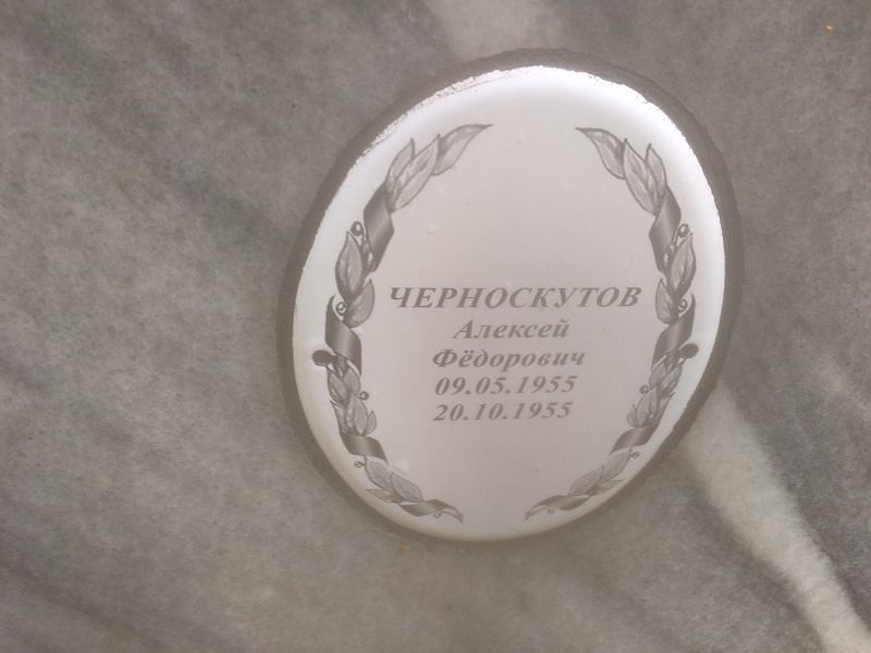Черноскутов