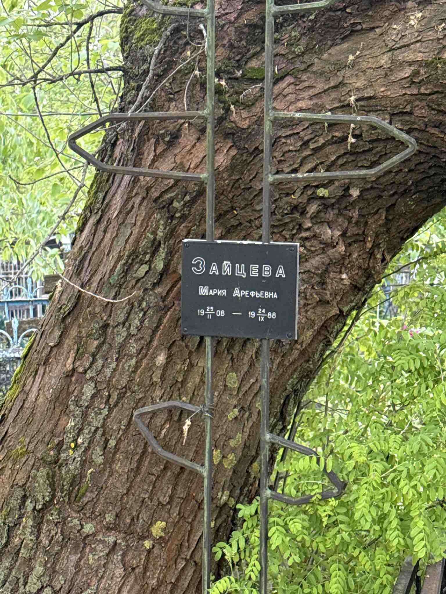 Зайцева Мария Арефьевна