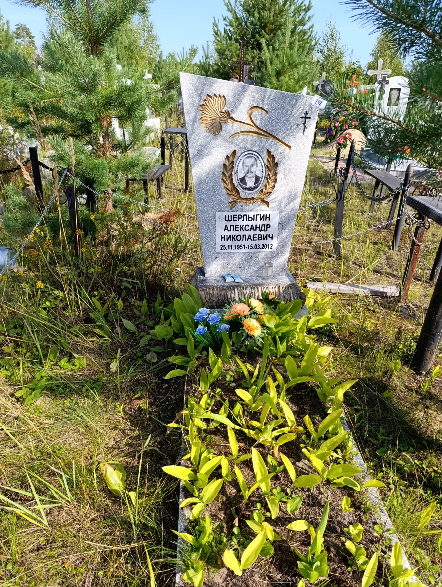 Шерлыгин Александр Николаевич