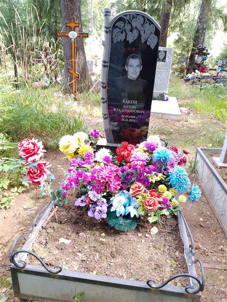 Бакин Антон Владимирович
