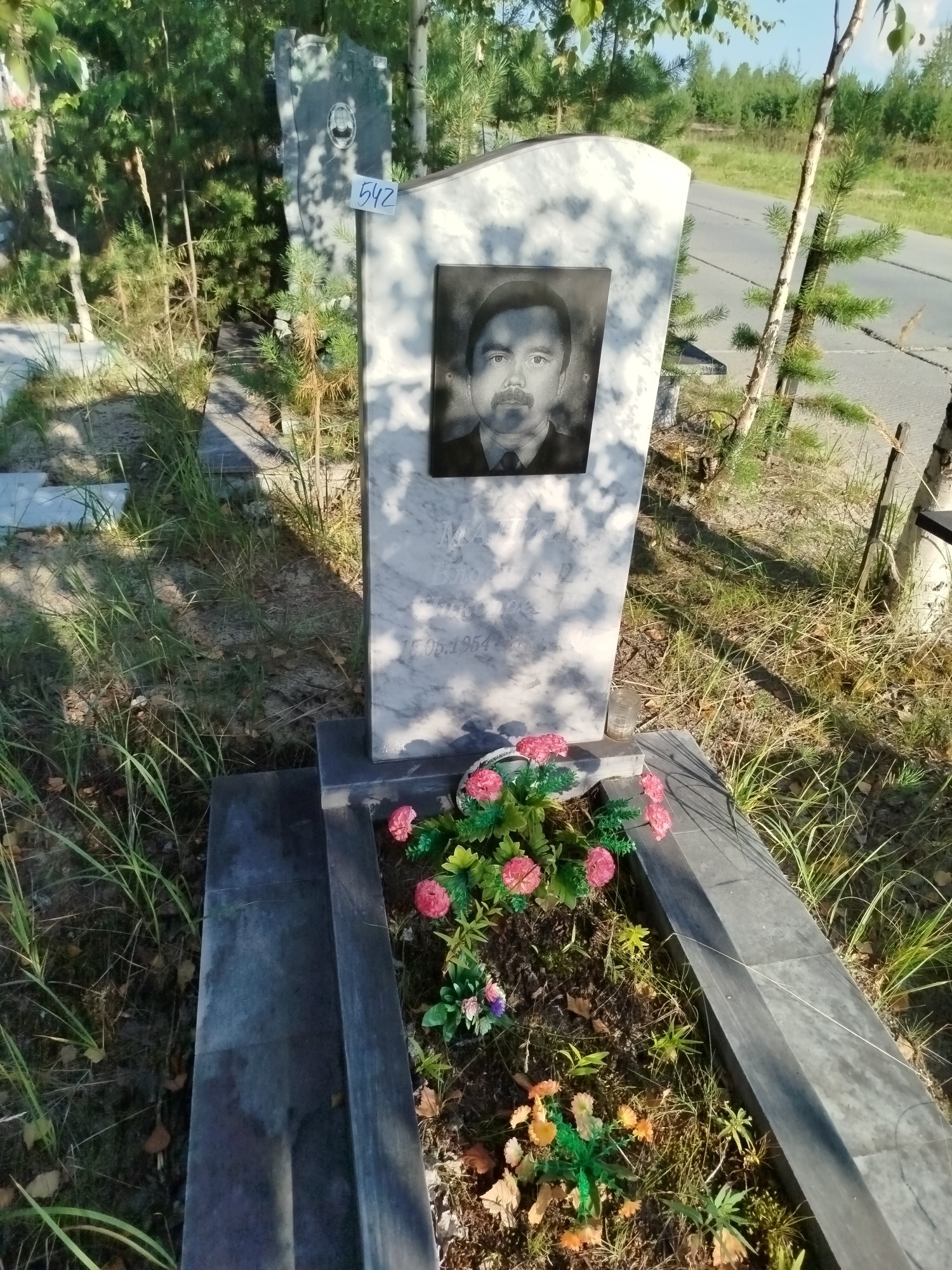 Манин Владимир Николаевич