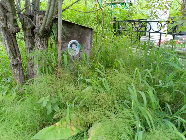 Беллер Елена Дмитриевна