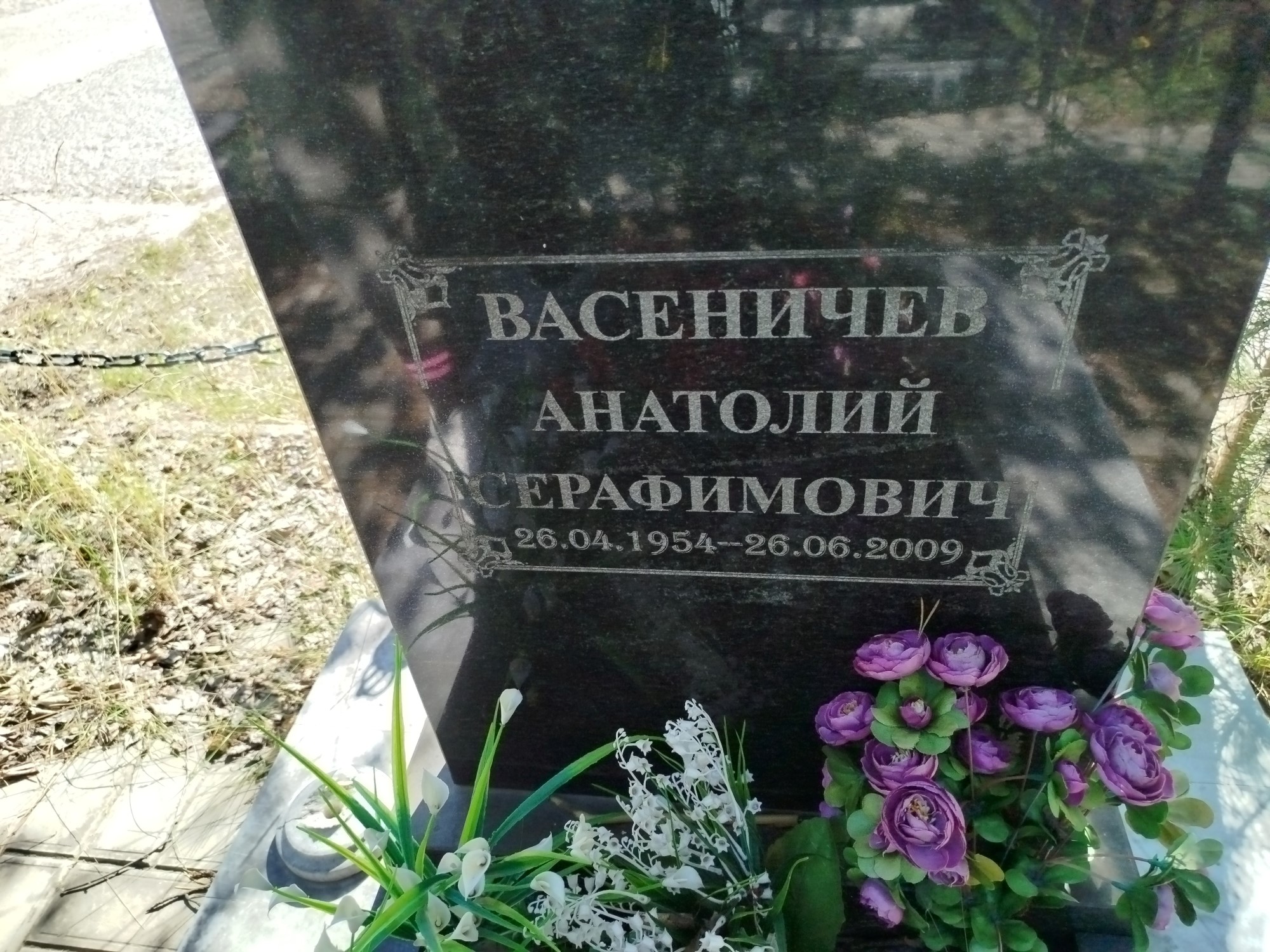 Васеничев Анатолий Серафимович
