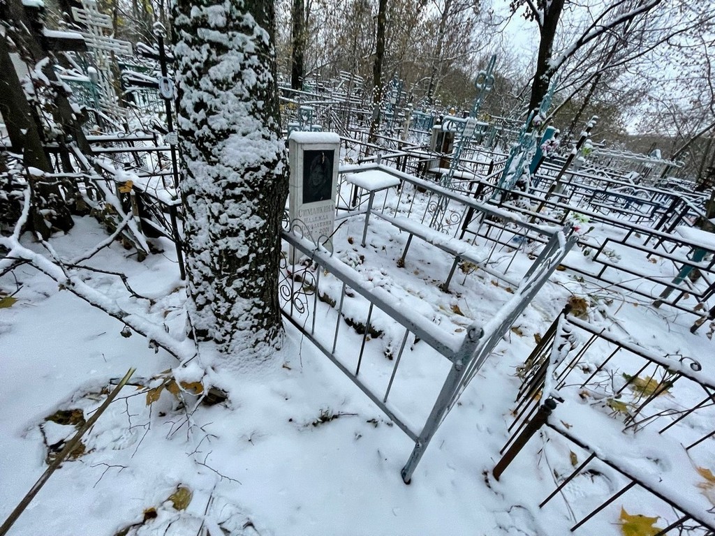 Симанкина Надежда Николаевна