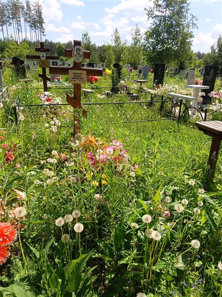 Ананьева Любовь Николаевна