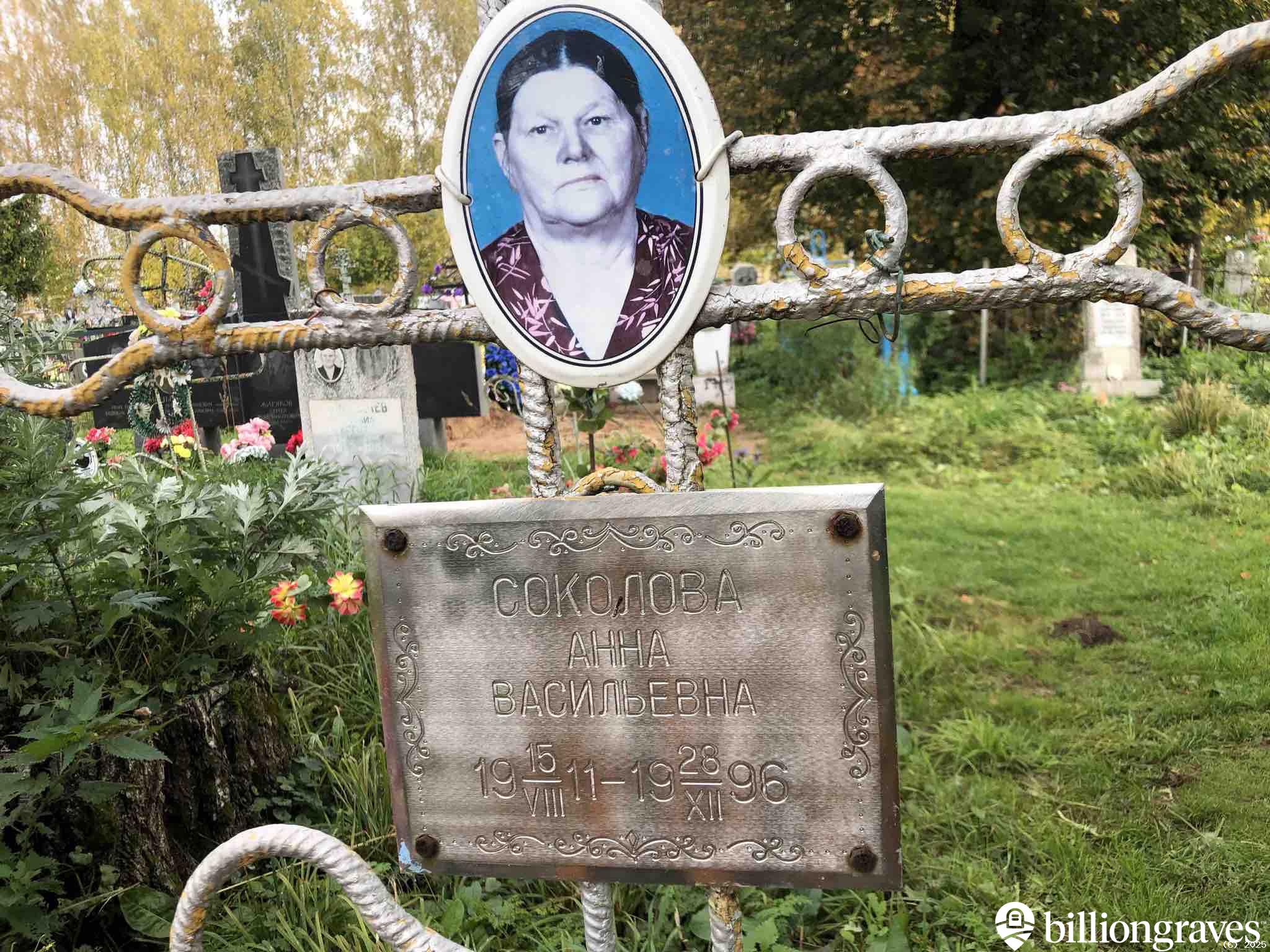 Соколова Анна Васильевна
