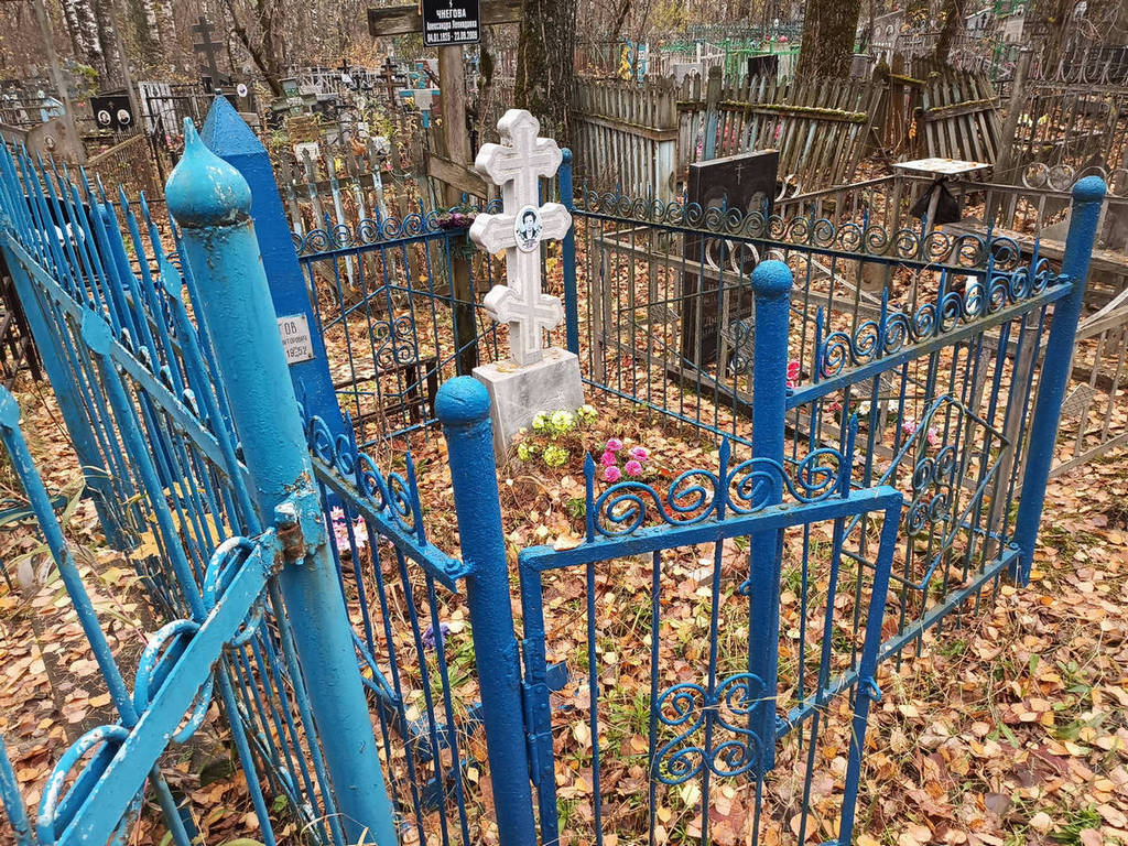 Чнегова Александра Леонидовна