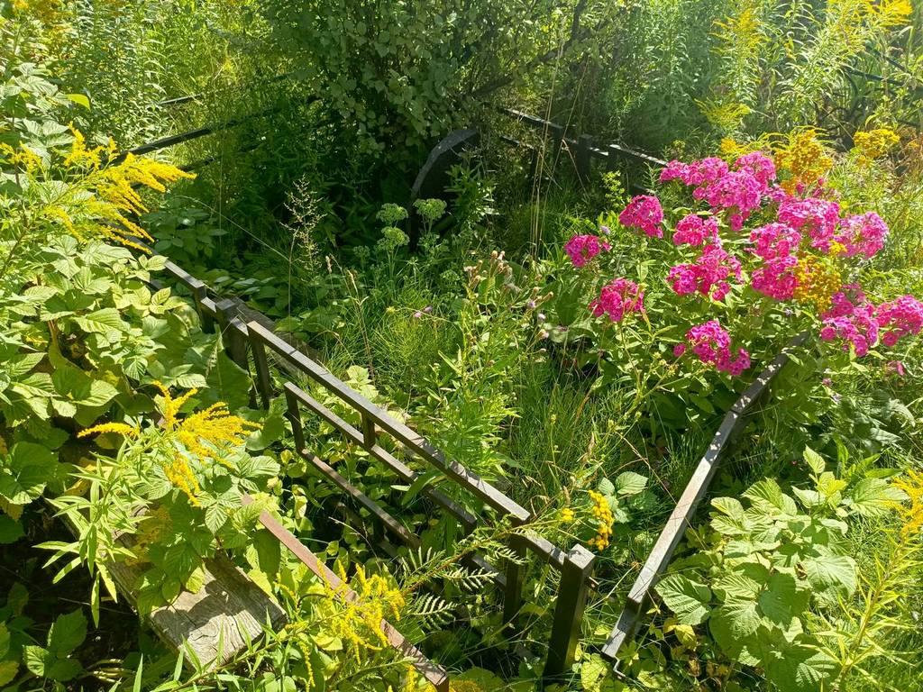 Соловьева Маргарита Генриховна