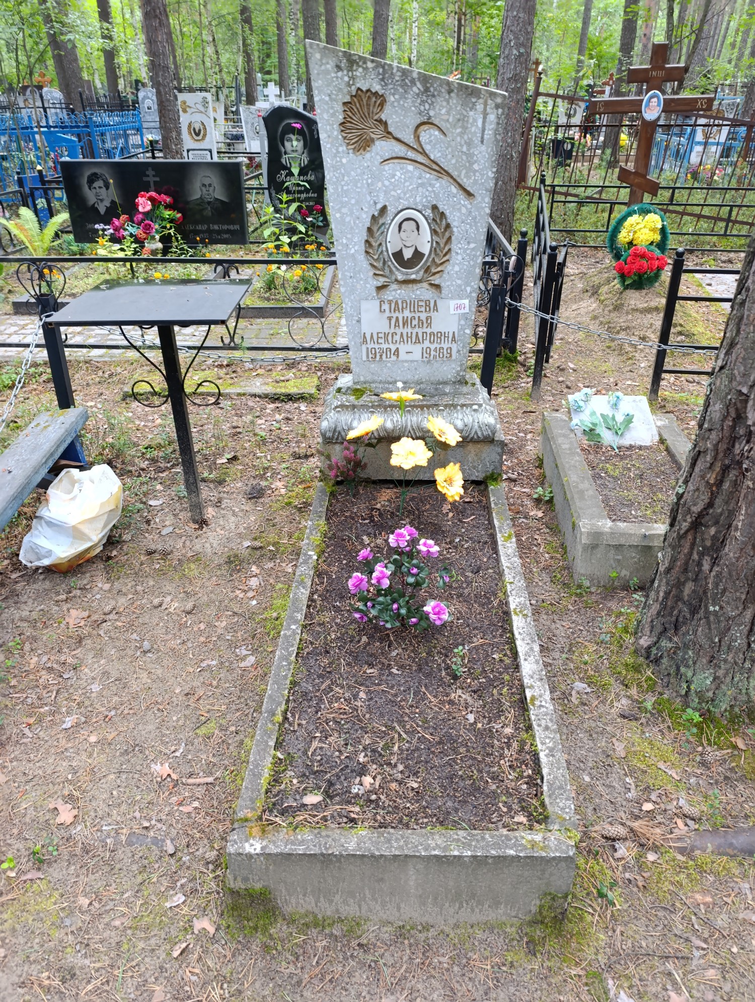 Старцева Таисья Александровна