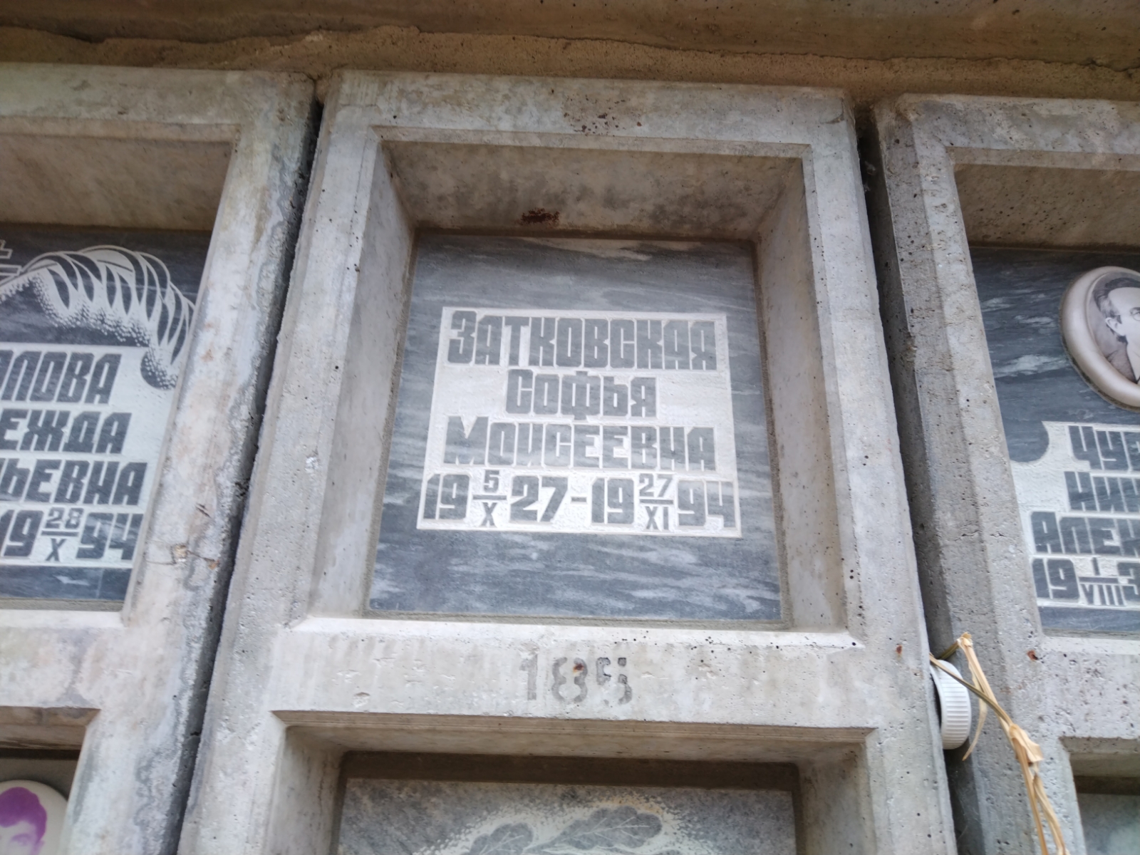 Затковская Софья Моисеевна