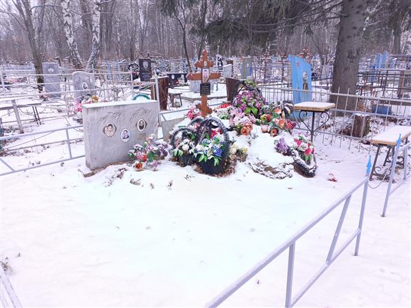 Падерина Анна Николаевна