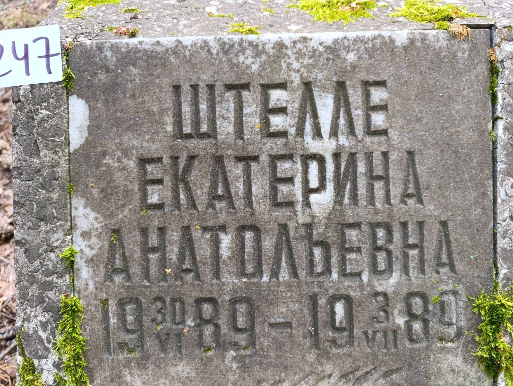 Штелле Екатерина Анатольевна
