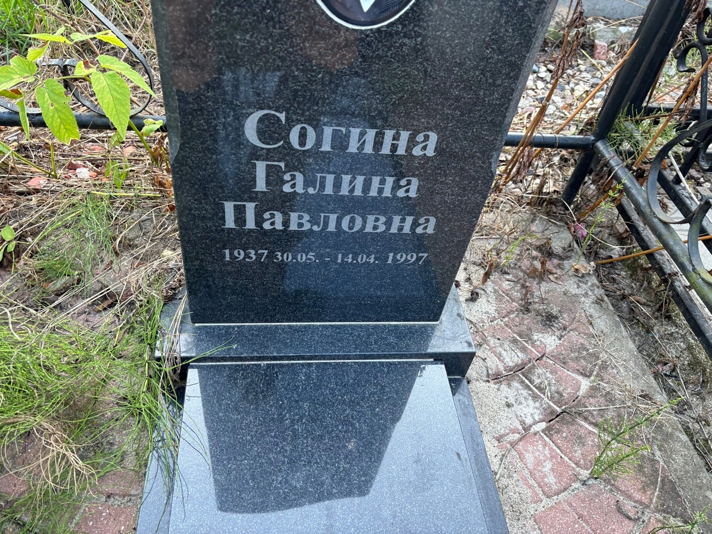 Согина