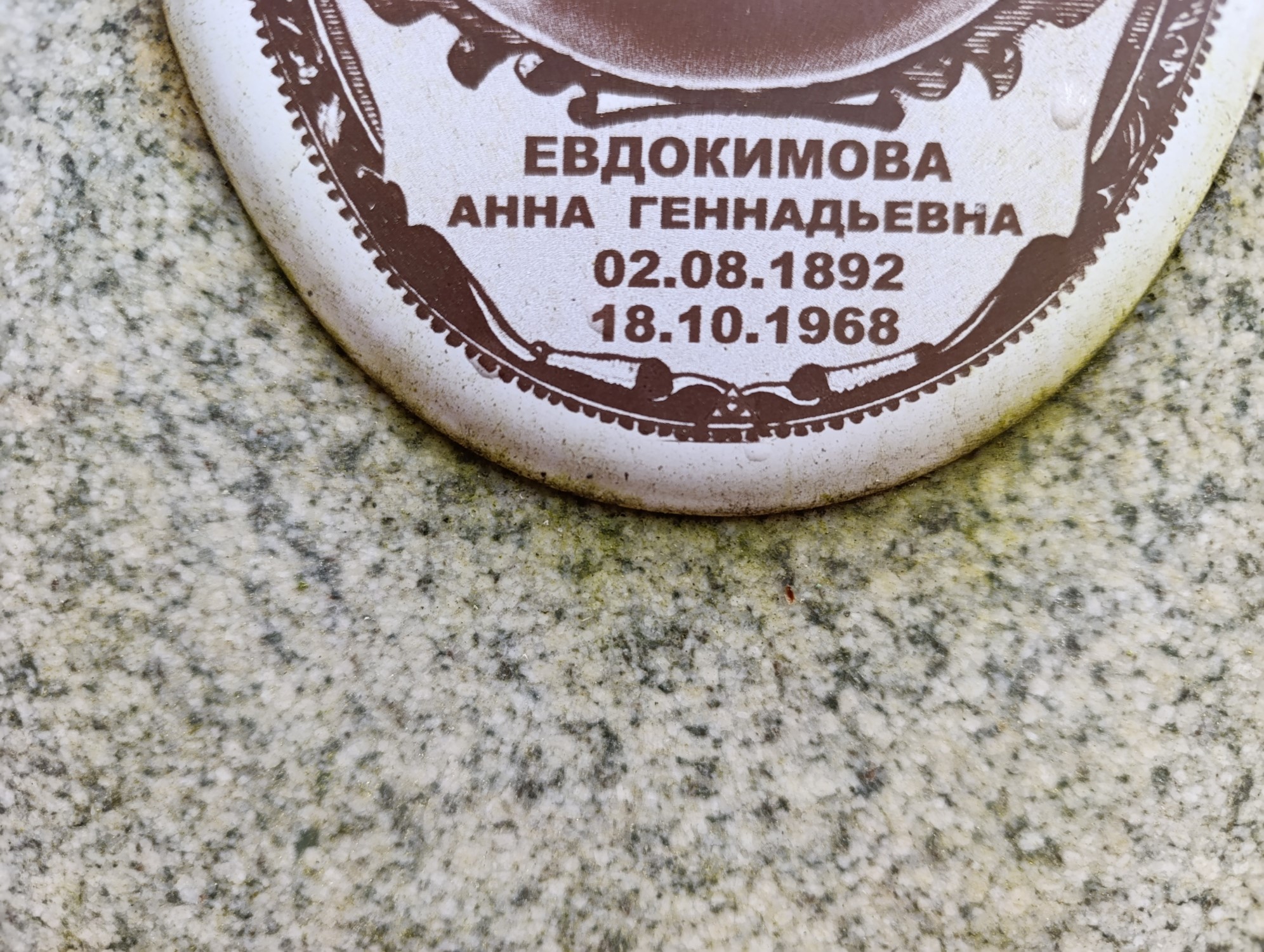 Евдокимова Анна Геннадьевна