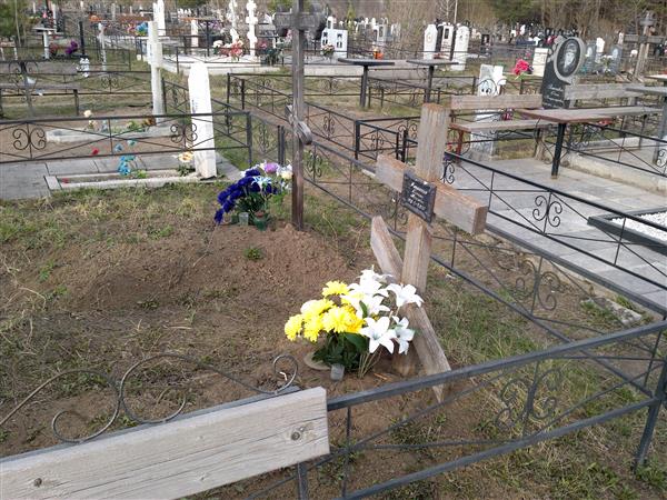 Романенко Татьяна Борисовна