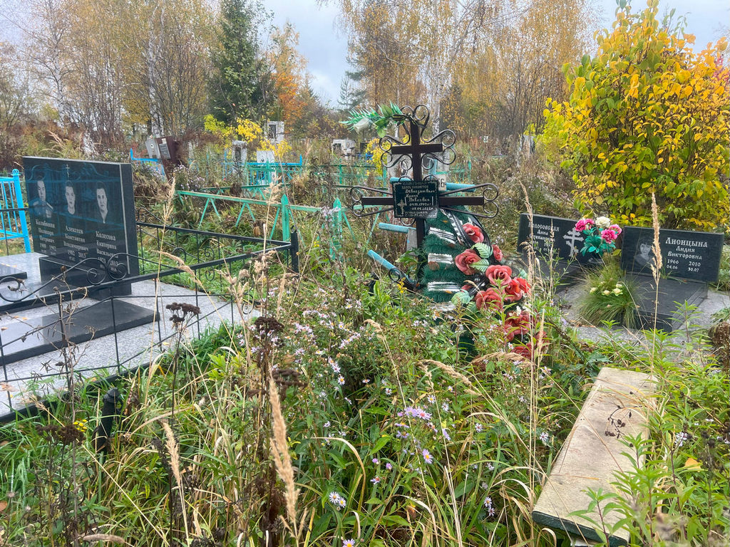 Девнозашвили Ирина Павловна