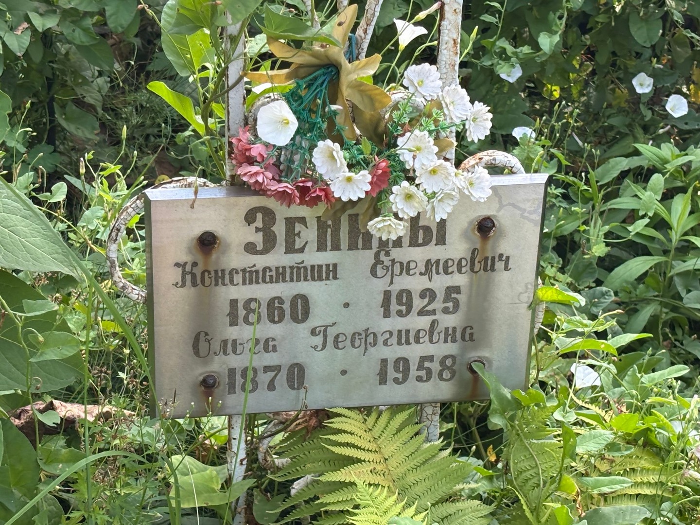 Зенин