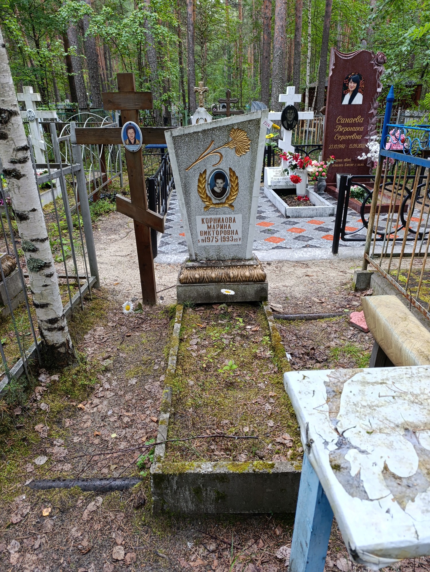Страшникова Лариса Викторовна