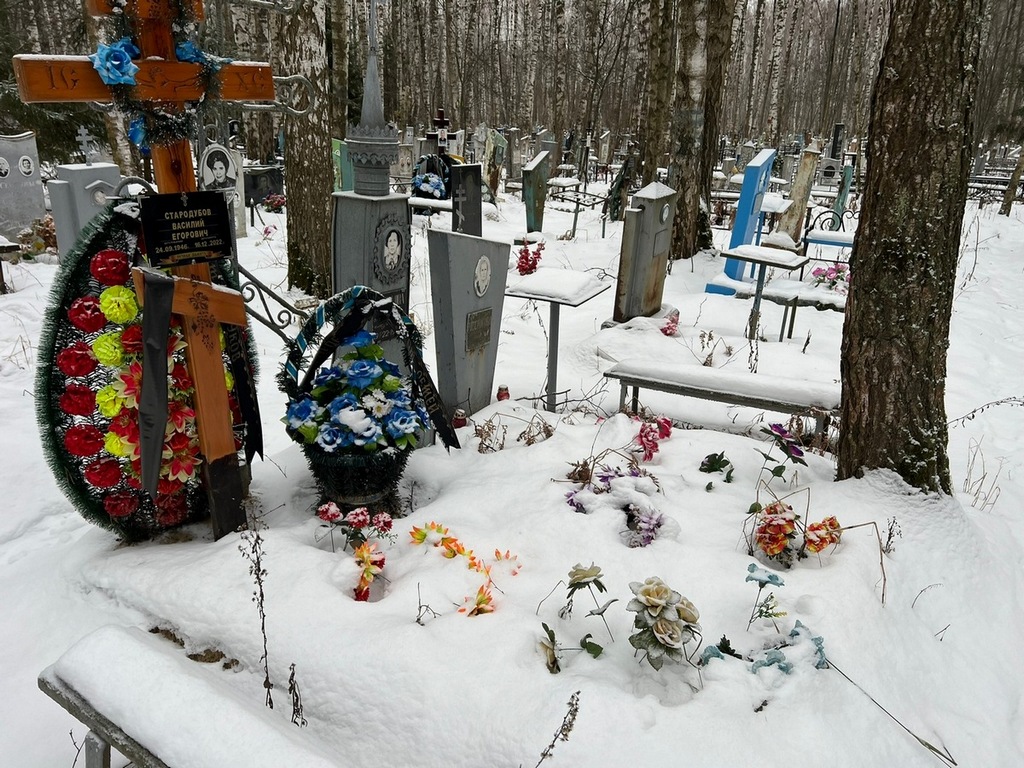 Стародубова Татьяна Сергеевна