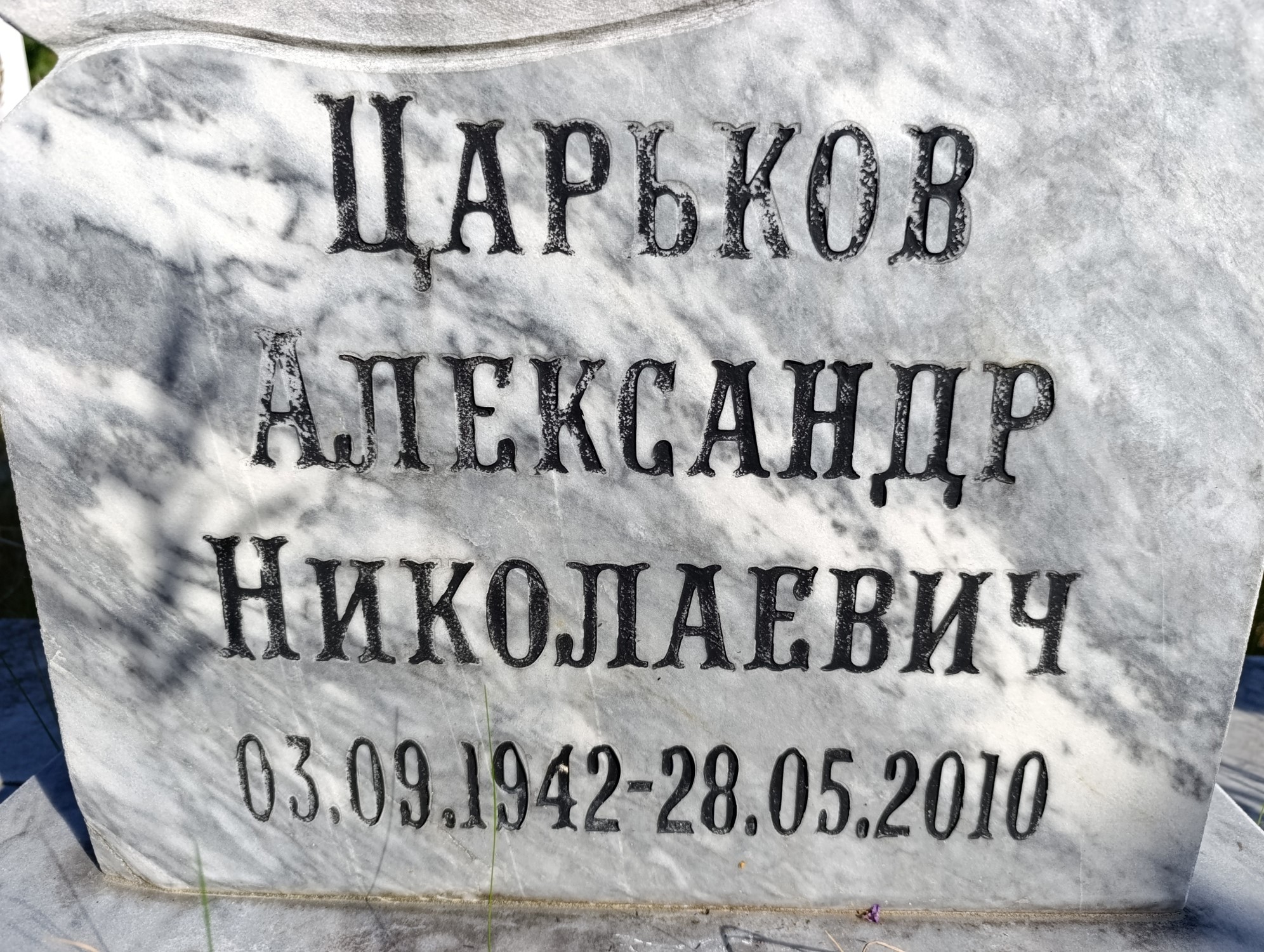 Царьков Александр Николаевич