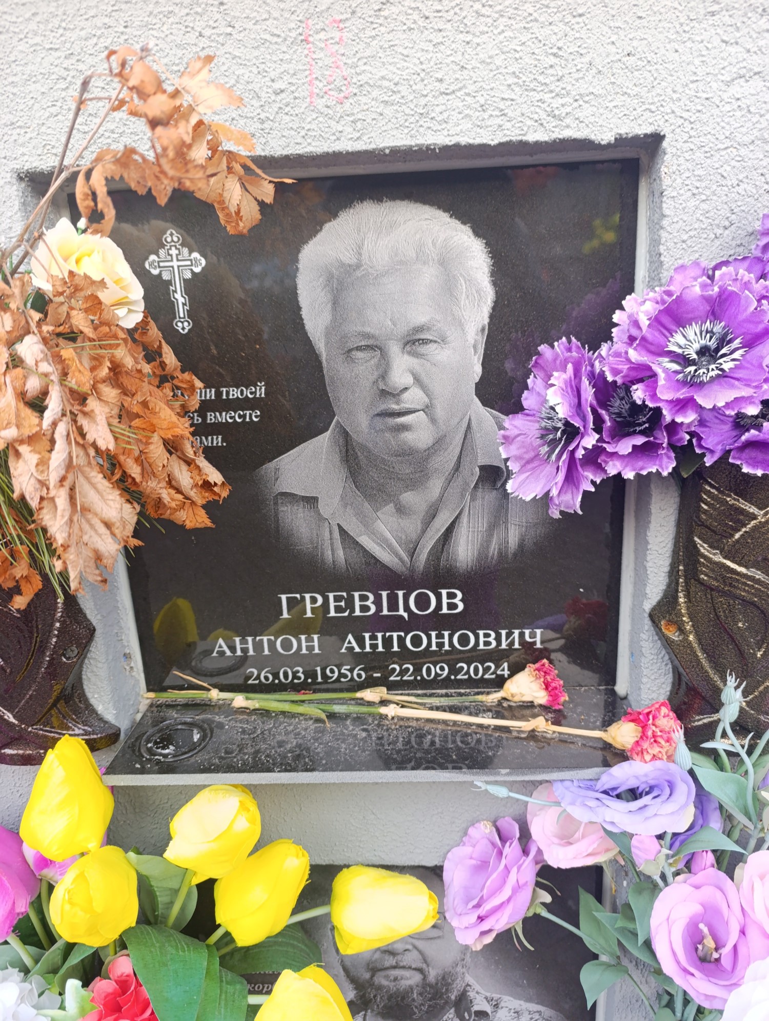 Гревцов Антон Антонович