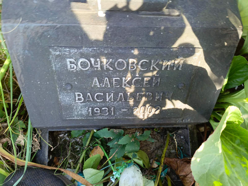 Бочковский