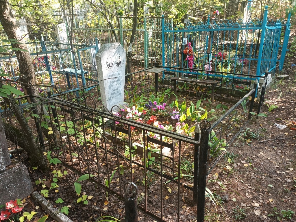 Дмитриев Михаил Васильевич