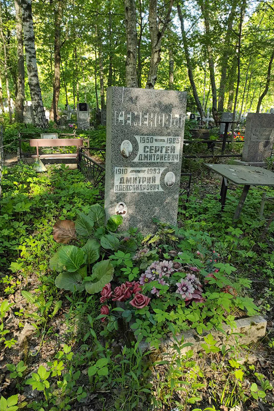 Семенов Дмитрий Александрович