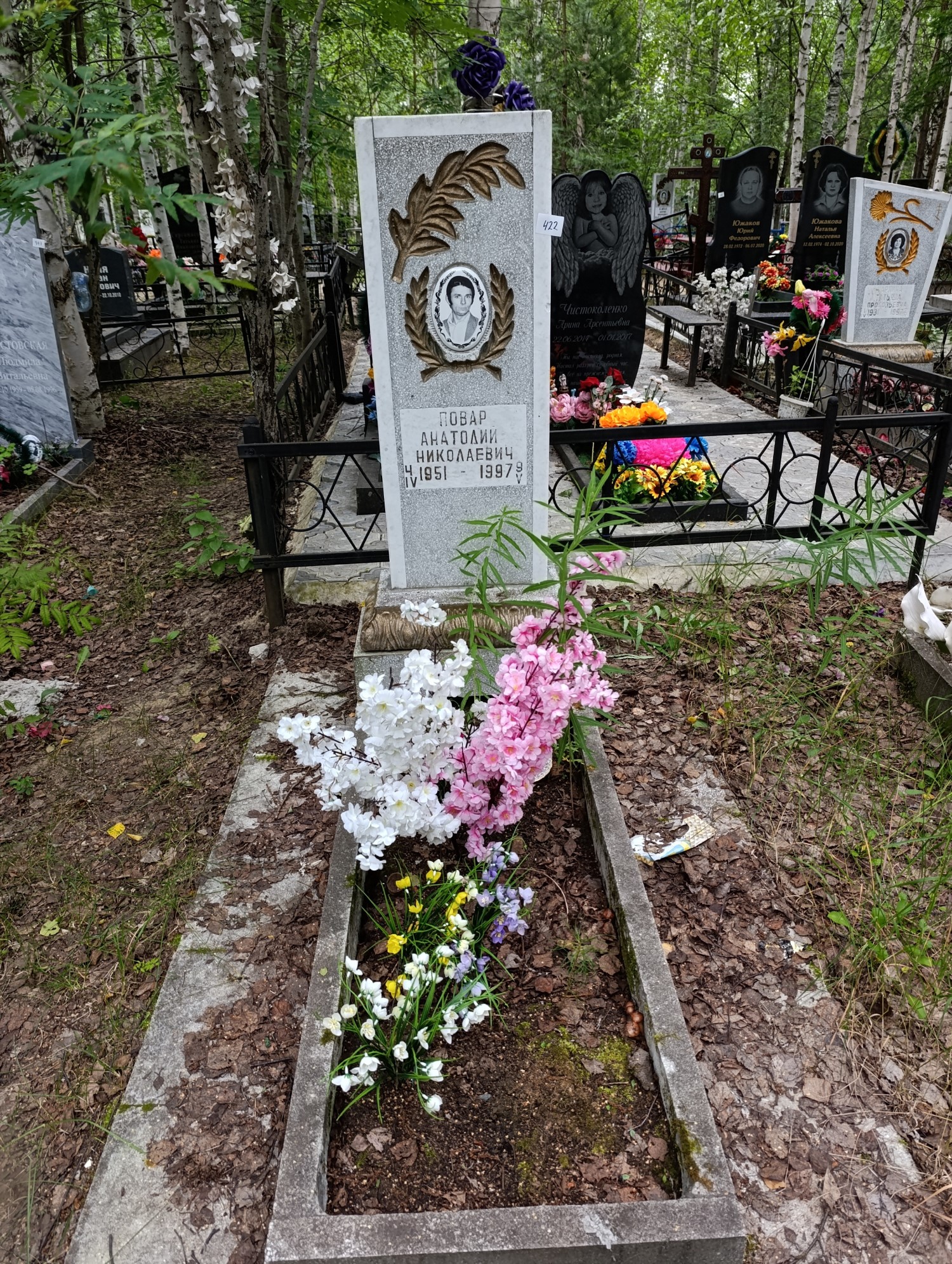 Повар Анатолий Николаевич