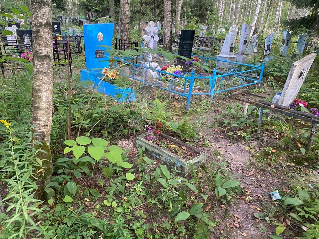 Пичугина Алла