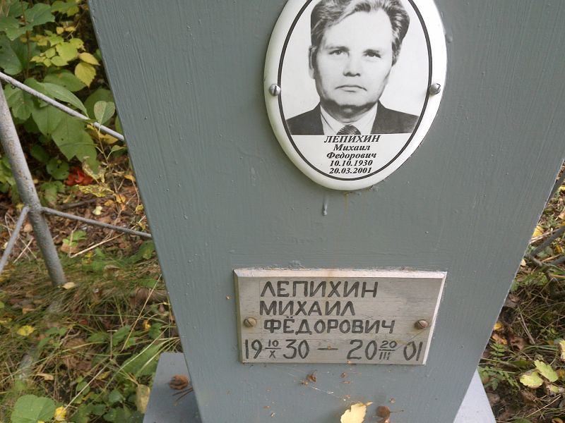 Лепихин