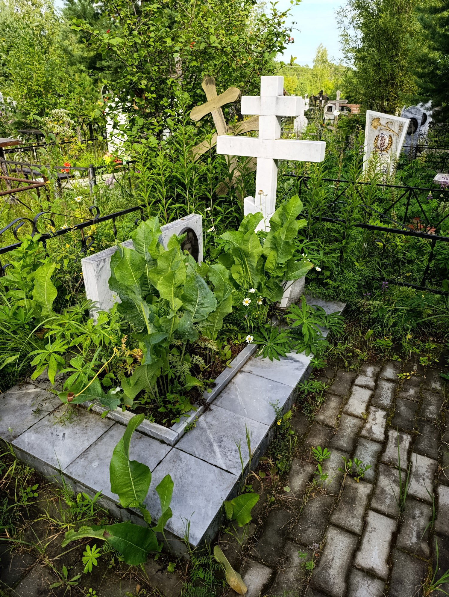 Ослина Любовь Семеновна