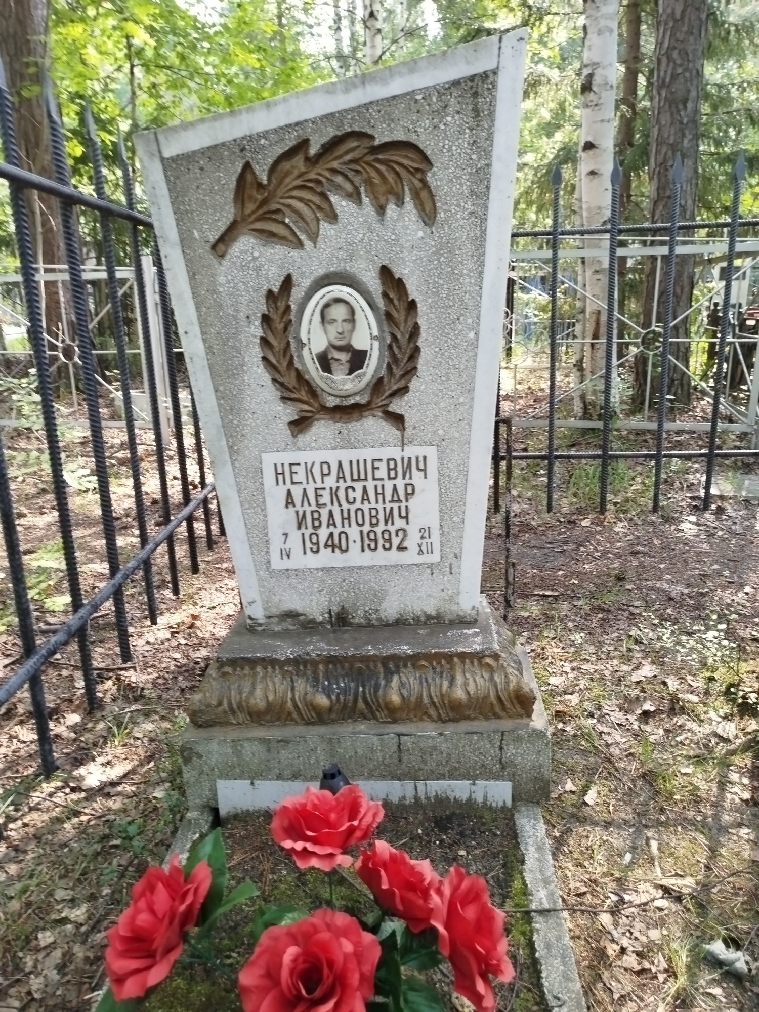 Некрашевич Александр Иванович