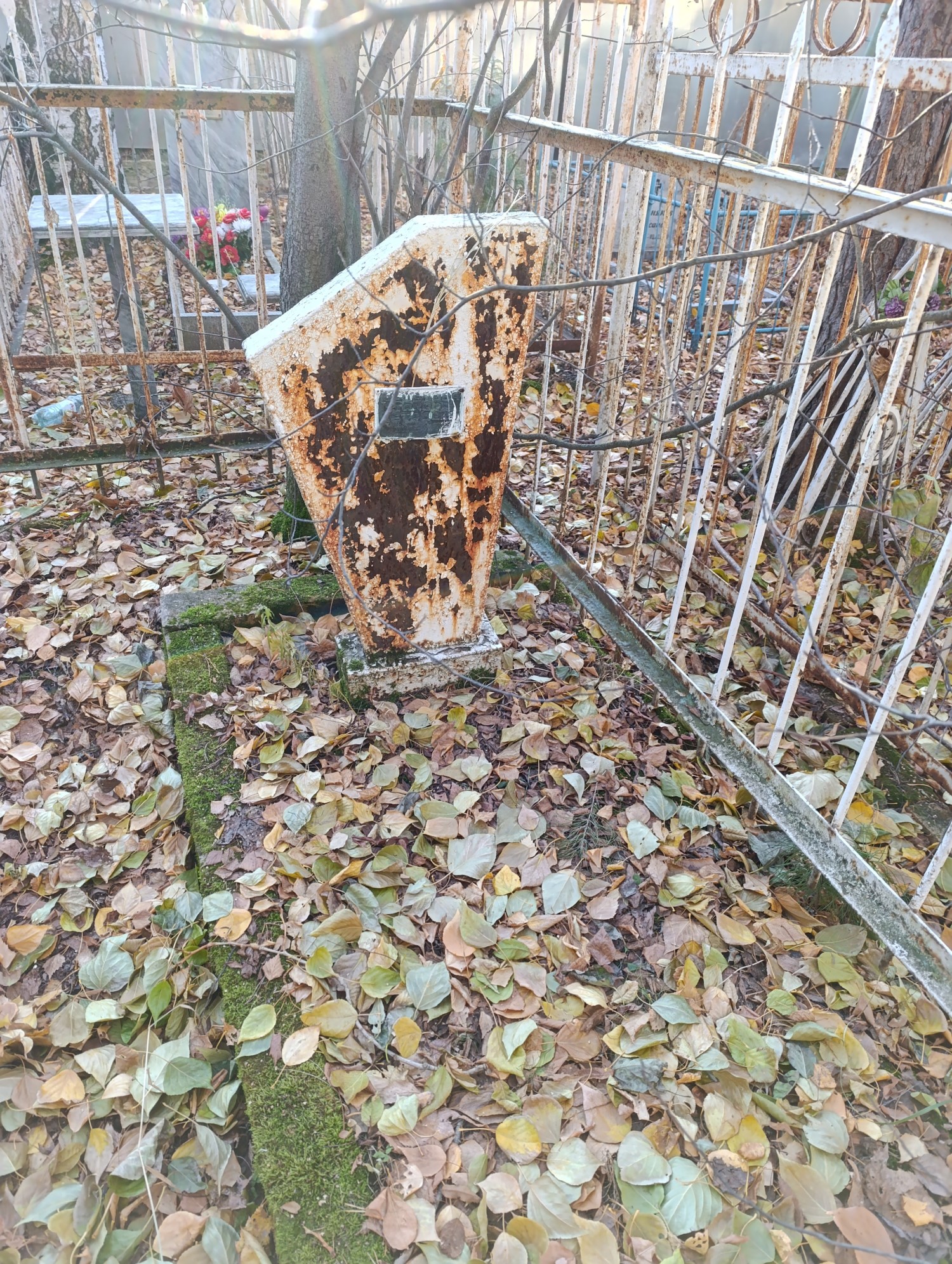 Решетова Тамара Петровна