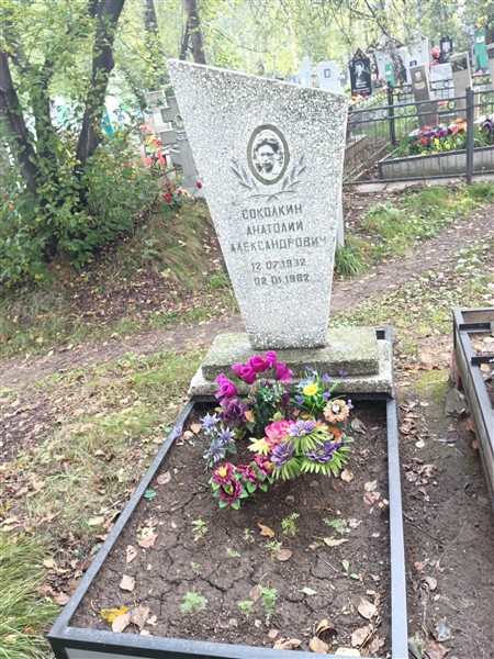 Соколкин Анатолий Александрович