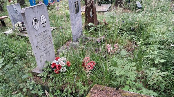 Месилов Анатолий Александрович