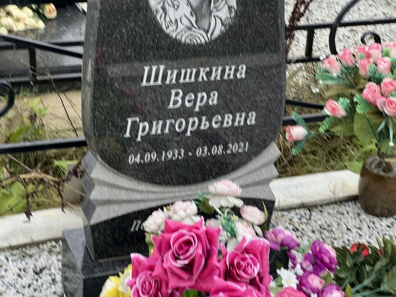 Шишкина