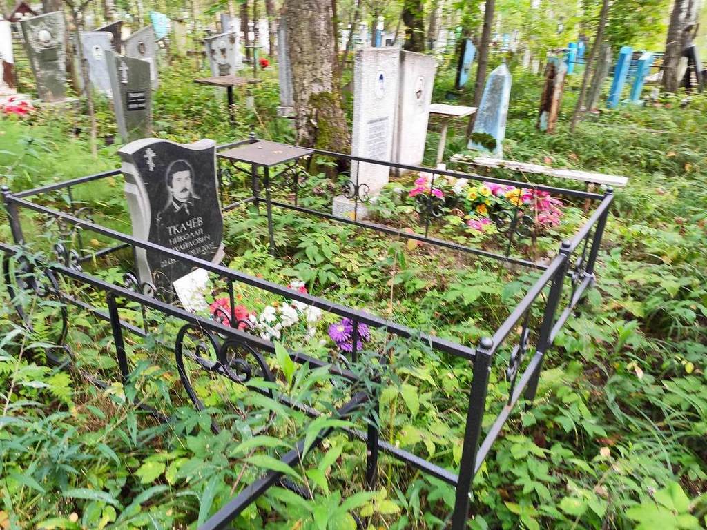 Ткачев Николай Михайлович
