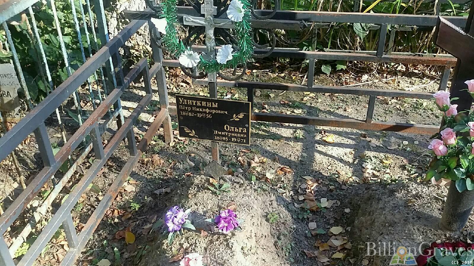 Улиткина Ольга Дмитриевна