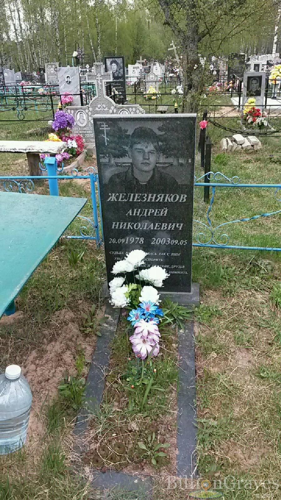 железняков андрей николаевич