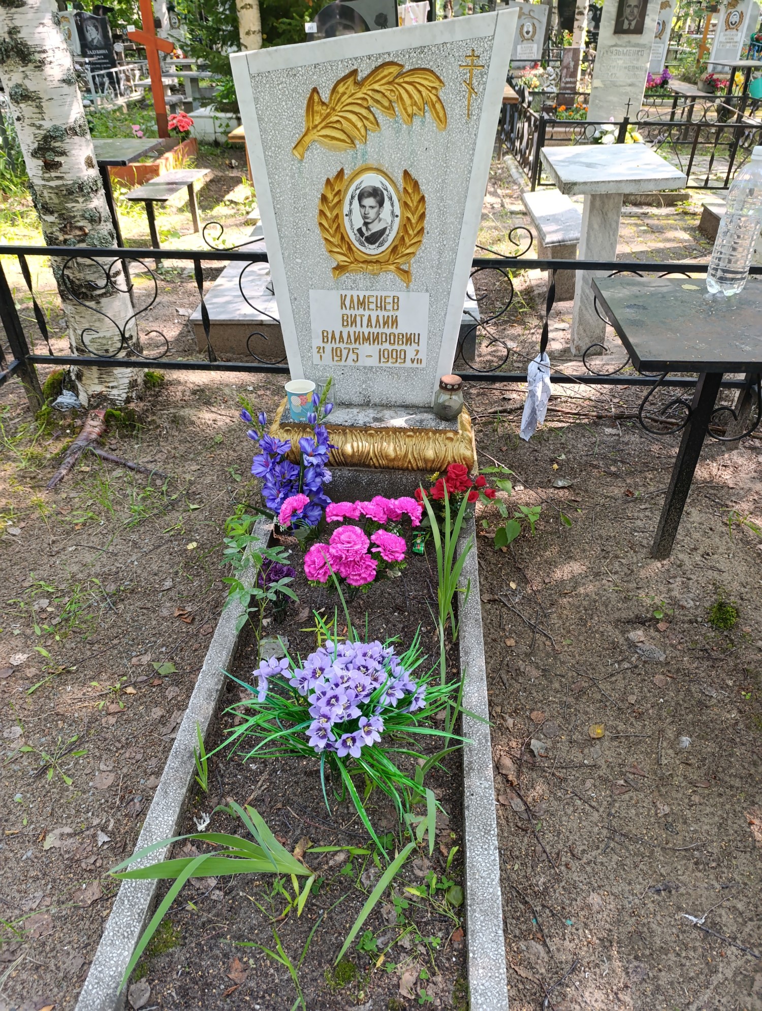 Кменев Виталий Владимирович